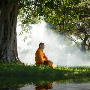 Buddhist-Monk-Under-Tree-300x300